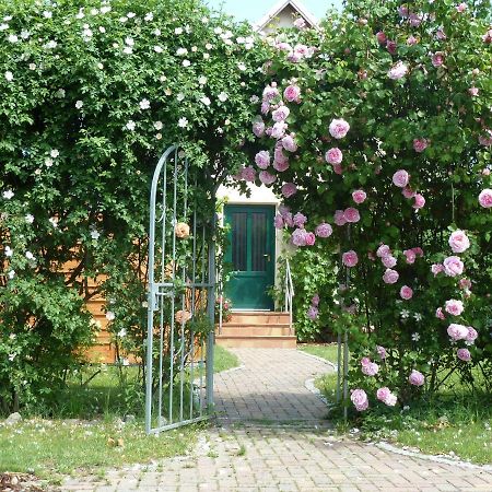 Ferien Auf Ruegen Familie Geist Lejlighed Garz  Eksteriør billede